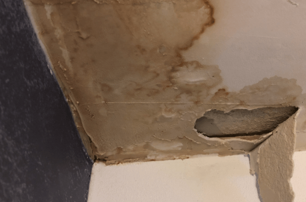 Additional Tips for Preventing Future Ceiling Leaks